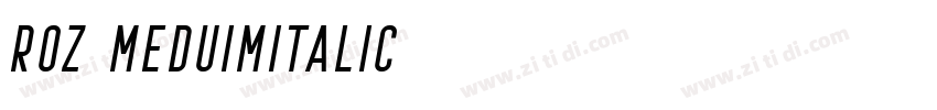 Roz MeduimItalic字体转换